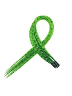 FIBRE HAIREXTENSIONS GRIZZLY GROEN / 5 STUKS