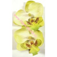 Silly Stuff Jwel U Natural Orchid Little / Yellow