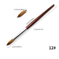 KOLINSKY ACRYL PENSEEL MET HOUTEN HANDVAT #12