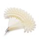 KLEURENRING FLOWER WIT 120 TIPS