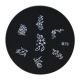 NAIL ART STEMPEL PLAATJE / B73