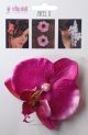 Silly Stuff Jwel U Natural Orchid / Fuchsia