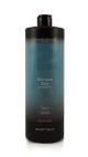 LISAP DCM SHAMPOO DAILY 1000ML