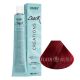 DUSY PROFESSIONAL COLOR CREATIONS 100ML MIX ROOD
