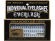 EVERLASH SPREAD - PALETTE TRIM BROWN