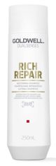 GOLDWELL DS Rich Repair Restoring Shampoo 250ml